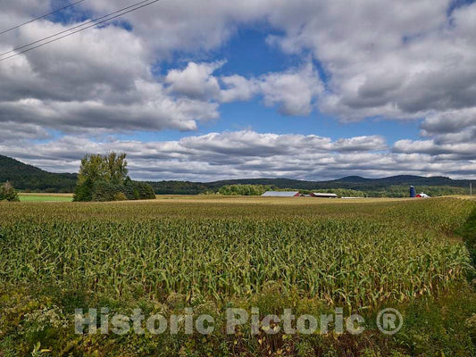 Photo- Cornfield Near Fairfax, Vermont 1 Fine Art Photo Reproduction