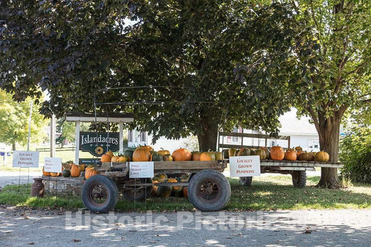 Photo - Islanders Farm pumpkin stand in South Hero, Vermont, the southern half of Grand Isle, one of the Lake Champlain Islands chain in Lake Champlain- Fine Art Photo Reporduction