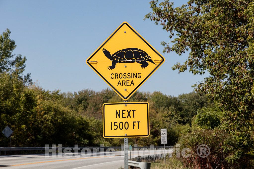 Photo - Animal-Crossing Sign, not for The Usual Deer or Cattle but for Tortoises, in South Hero, Vermont, The Southern Half of Grand Isle- Fine Art Photo Reporduction