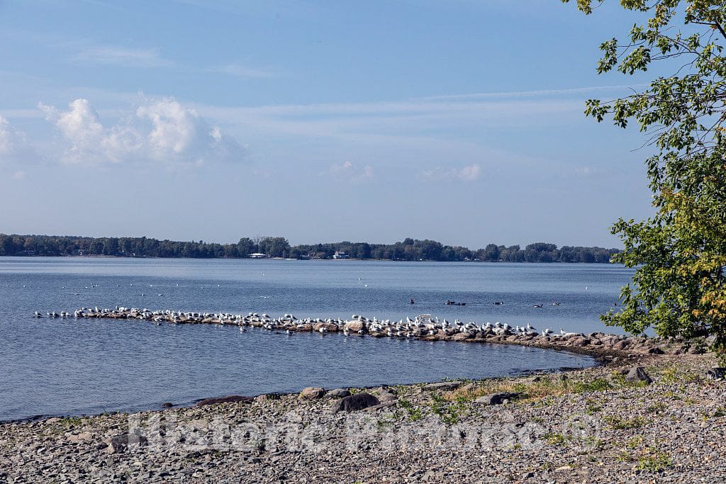 Photo - Isle La Motte, one of The Lake Champlain Islands Chain in Vermont Waters of Lake Champlain, Separating Vermont and New York State- Fine Art Photo Reporduction