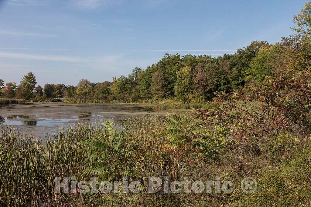 Photo - Marsh Near Mud Creek on The Alburg Peninsula in Vermont, at The Northern Head of The Lake Champlain Islands Chain in Vermont Waters of Lake Champlain