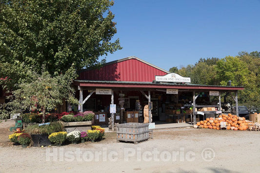 Photo- Scene at fall apple-harvest time at Shelburne Orchards in Shelburne, Vermont 3 Fine Art Photo Reproduction