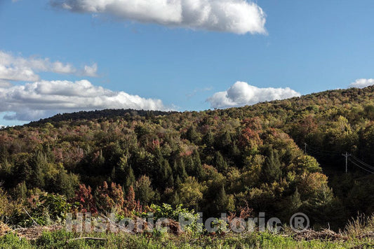 Photo - Hillside near the cross-country ski area of the Stowe Mountain Resort in Stowe, Vermont- Fine Art Photo Reporduction