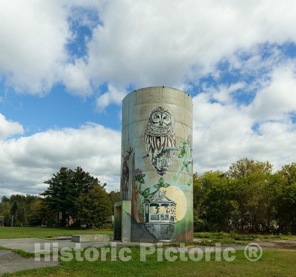 Photo- Painted silo, Jeffersonville, Vermont 1 Fine Art Photo Reproduction