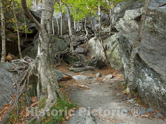 Photo- Boulders and Trees Along The Road in Smugglers' Notch, a Narrow Mountain Pass Surrounded by high Bluffs in Lamoille County, Vermont 1 Fine Art Photo Reproduction