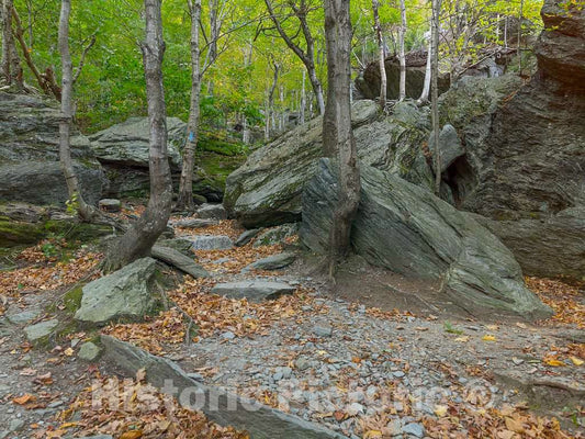 Photo- Boulders and trees along the road in Smugglers' Notch, a narrow mountain pass surrounded by high bluffs in Lamoille County, Vermont 5 Fine Art Photo Reproduction