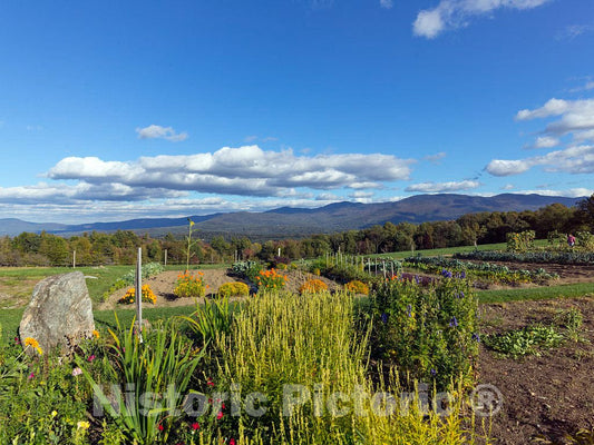 Photo- Garden and mountain view at the Trapp Family Lodge in Stowe, Vermont 2 Fine Art Photo Reproduction