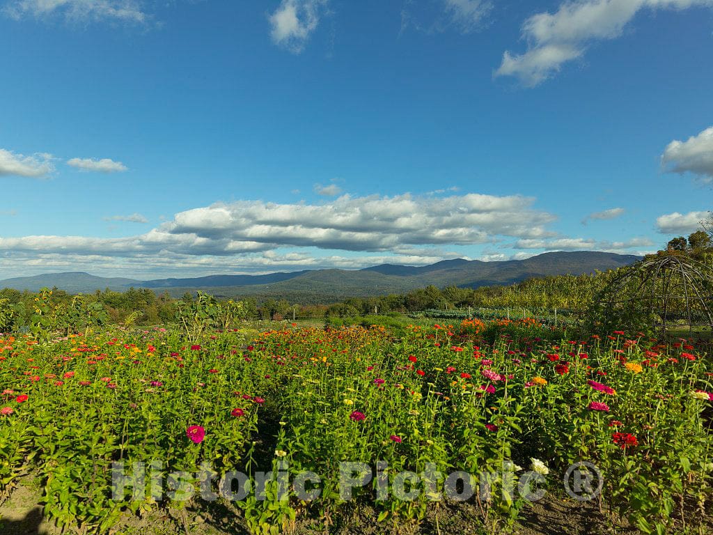 Photo- Garden and Mountain View at The Trapp Family Lodge in Stowe, Vermont 4 Fine Art Photo Reproduction