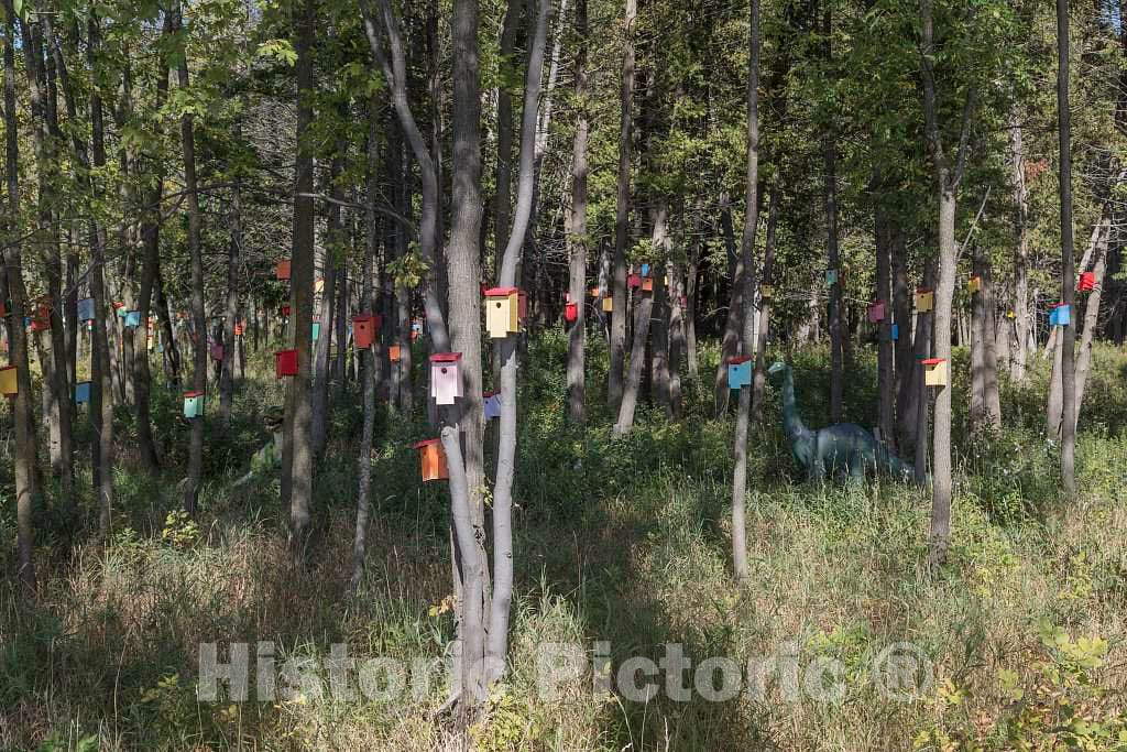 Photo- Birdhouses, including some that may be elaborately carved or painted, are a common sight in the gardens and woods of rural and suburban America 2 Fine Art Photo Reproduction