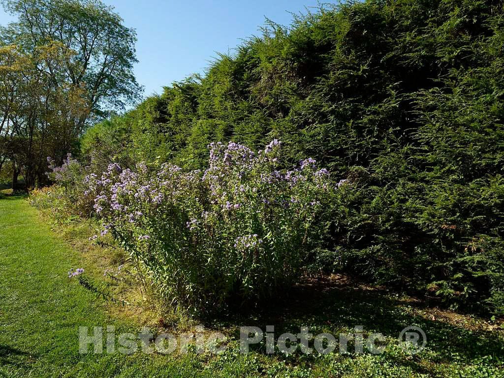 Photograph - Scene from one of Several Gardens at The Saint-Gaudens National Historic Site, Once The Home and Studio site of Augustus Saint-Gaudens, one of America's Greatest sculptors 2