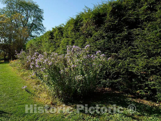 Photograph - Scene from one of Several Gardens at The Saint-Gaudens National Historic Site, Once The Home and Studio site of Augustus Saint-Gaudens, one of America's Greatest sculptors 2