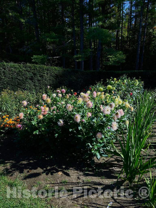 Photograph - Scene from one of Several Gardens at The Saint-Gaudens National Historic Site, Once The Home and Studio site of Augustus Saint-Gaudens, one of America's Greatest sculptors 1