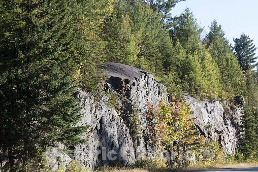 Photo - Rock Cut, Covered by evergreens, in U.S. Highway 3 Near Stewartstown, New Hampshire- Fine Art Photo Reporduction