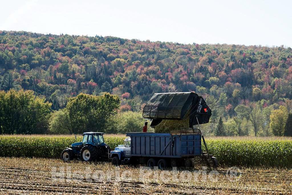 Photo- Harvesting fodder, stripped cornstalks and other residue left after the ears of corn have been removed, near Columbia 1 Fine Art Photo Reproduction