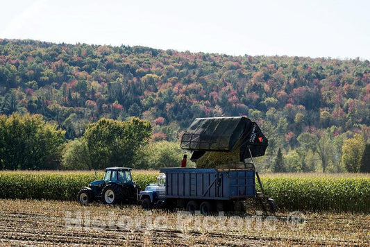 Photo- Harvesting fodder, stripped cornstalks and other residue left after the ears of corn have been removed, near Columbia 1 Fine Art Photo Reproduction