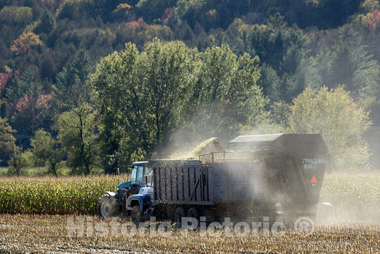 Photo- Harvesting Fodder, Stripped cornstalks and Other Residue Left After The Ears of Corn Have Been Removed, Near Columbia 3 Fine Art Photo Reproduction