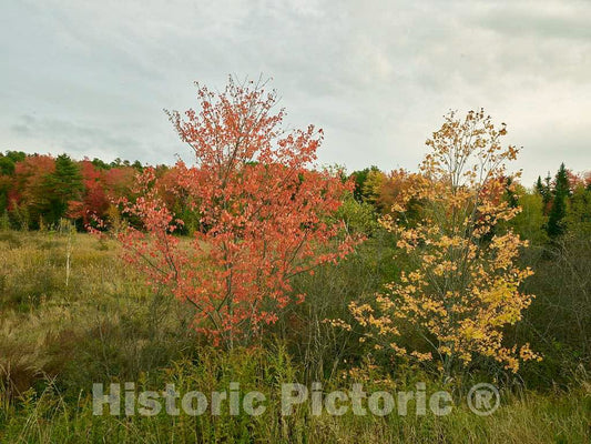 Photo - Fall Scene Near Newcastle, Maine- Fine Art Photo Reporduction