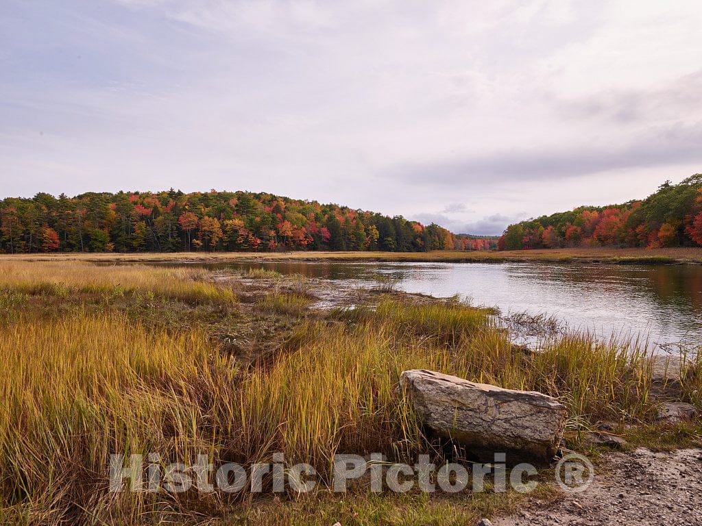 Photo - Marsh abutting Sherman Lake Near Newcastle, Maine- Fine Art Photo Reporduction