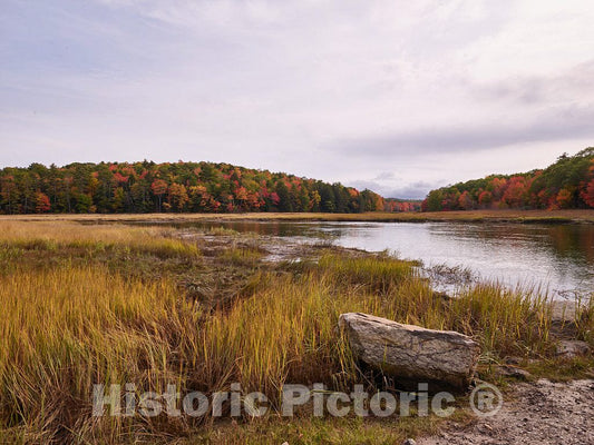 Photo - Marsh abutting Sherman Lake Near Newcastle, Maine- Fine Art Photo Reporduction