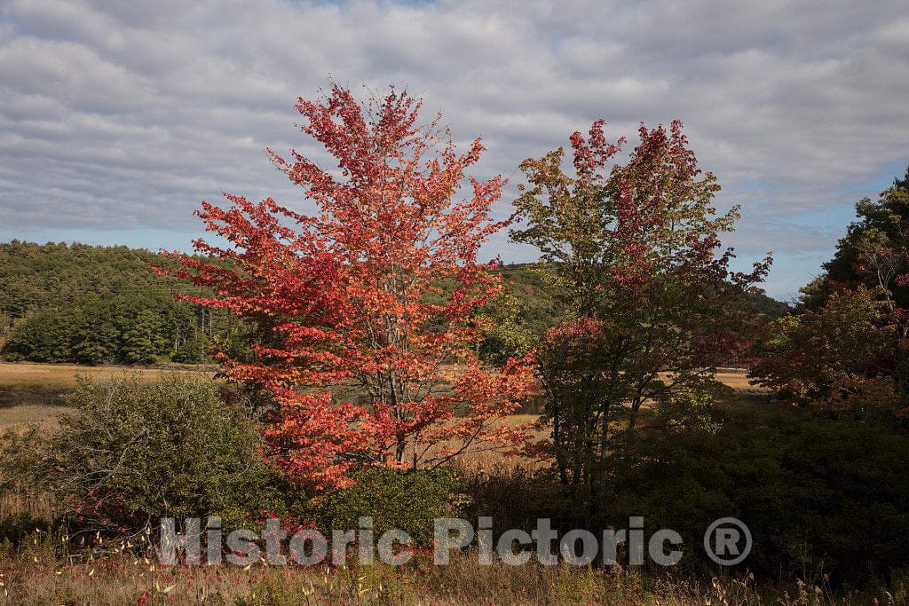 Photo - Autumn Scene Near Wiscasset, Maine- Fine Art Photo Reporduction