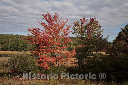 Photo - Autumn Scene Near Wiscasset, Maine- Fine Art Photo Reporduction