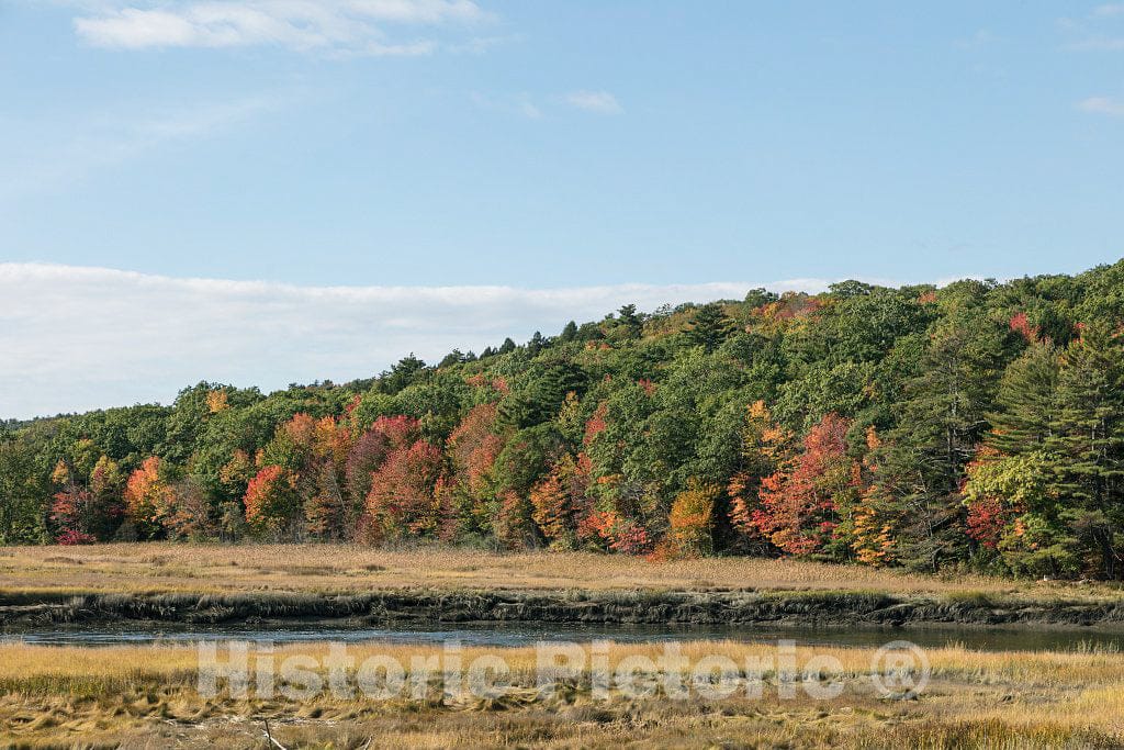 Photo- Marsh in Early Fall Near Newcastle, Maine 2 Fine Art Photo Reproduction