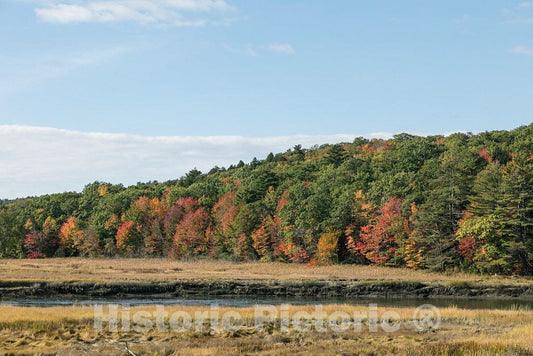 Photo- Marsh in Early Fall Near Newcastle, Maine 2 Fine Art Photo Reproduction
