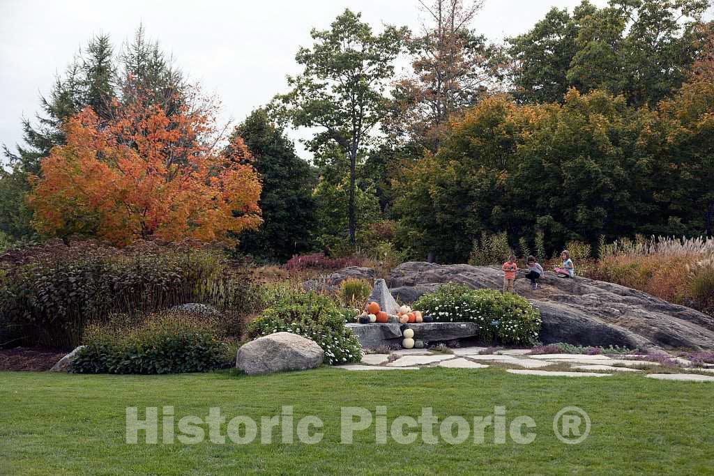 Photo- Display at The Coastal Maine Botanical Gardens in Boothbay, Maine, a 270-acre Garden on More Than a Mile of Boothbay Harbor Waterfront 4 Fine Art Photo Reproduction