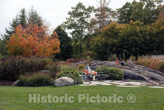 Photo- Display at The Coastal Maine Botanical Gardens in Boothbay, Maine, a 270-acre Garden on More Than a Mile of Boothbay Harbor Waterfront 4 Fine Art Photo Reproduction