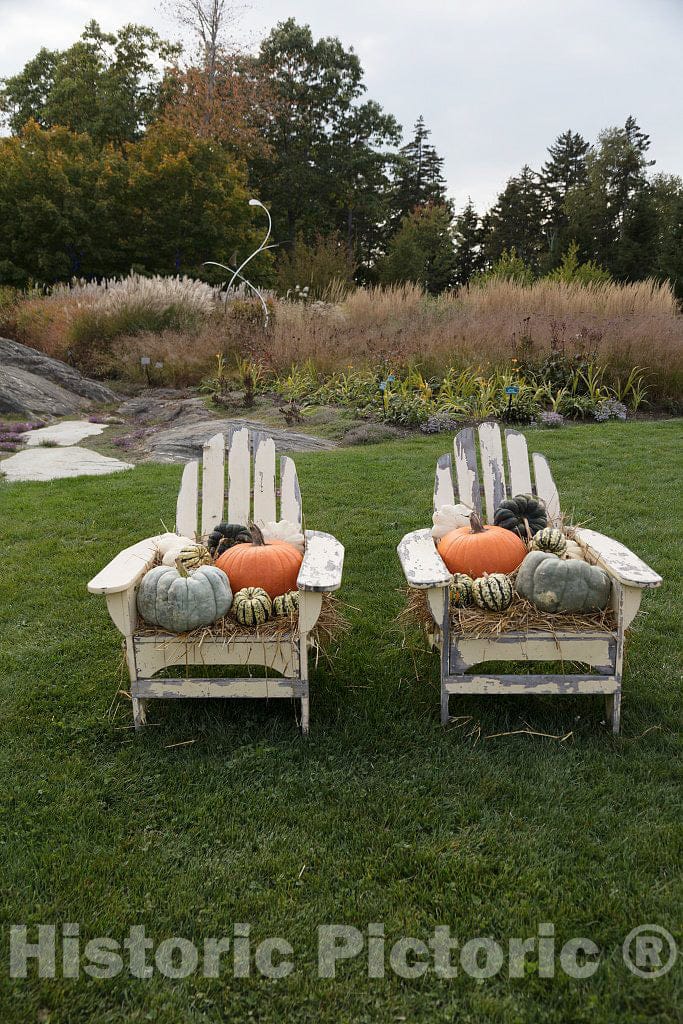 Photo- Display at The Coastal Maine Botanical Gardens in Boothbay, Maine, a 270-acre Garden on More Than a Mile of Boothbay Harbor Waterfront 3 Fine Art Photo Reproduction