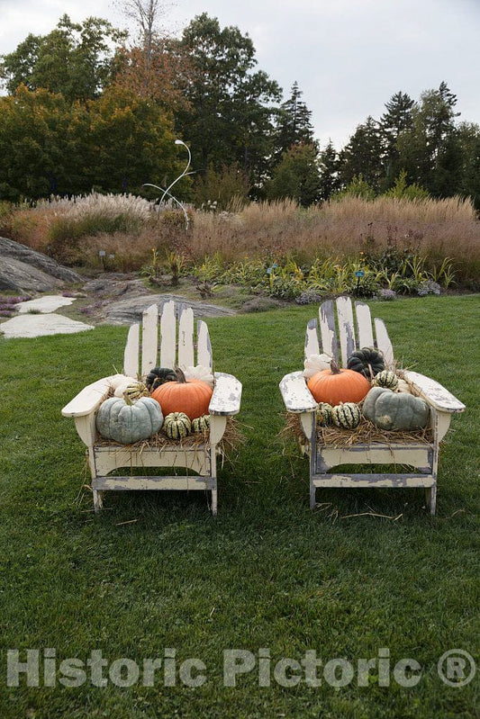 Photo- Display at The Coastal Maine Botanical Gardens in Boothbay, Maine, a 270-acre Garden on More Than a Mile of Boothbay Harbor Waterfront 3 Fine Art Photo Reproduction