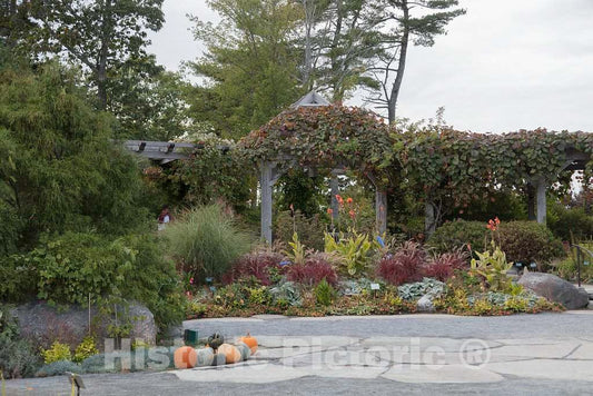 Photo- Display at The Coastal Maine Botanical Gardens in Boothbay, Maine, a 270-acre Garden on More Than a Mile of Boothbay Harbor Waterfront 5 Fine Art Photo Reproduction