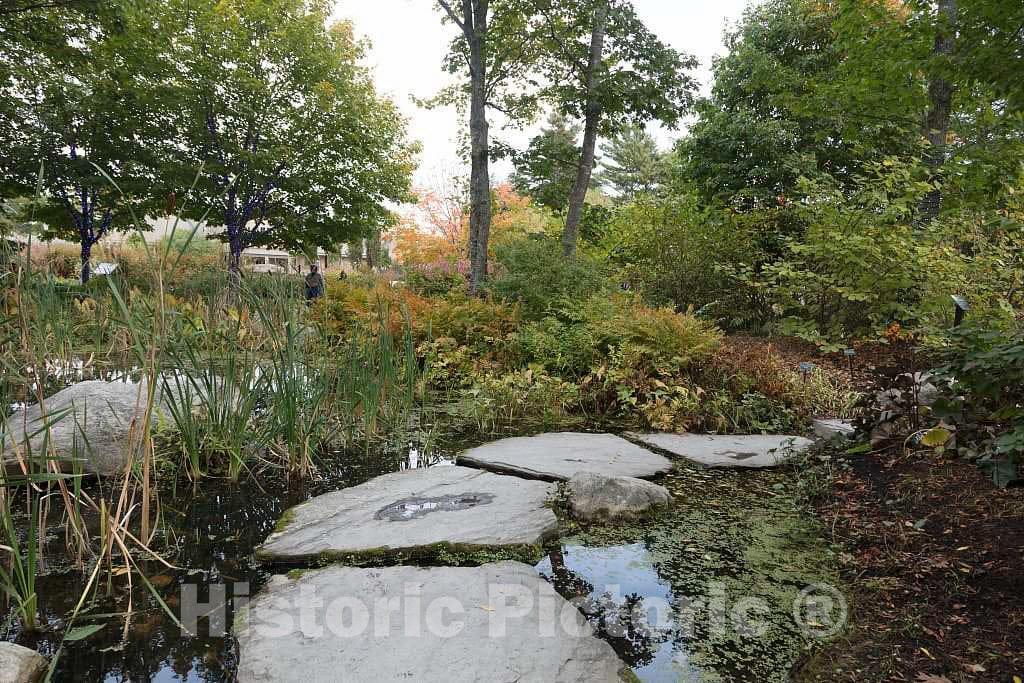 Photo- Scene at The Coastal Maine Botanical Gardens in Boothbay, Maine, a 270-acre Garden on More Than a Mile of Boothbay Harbor Waterfront 17 Fine Art Photo Reproduction