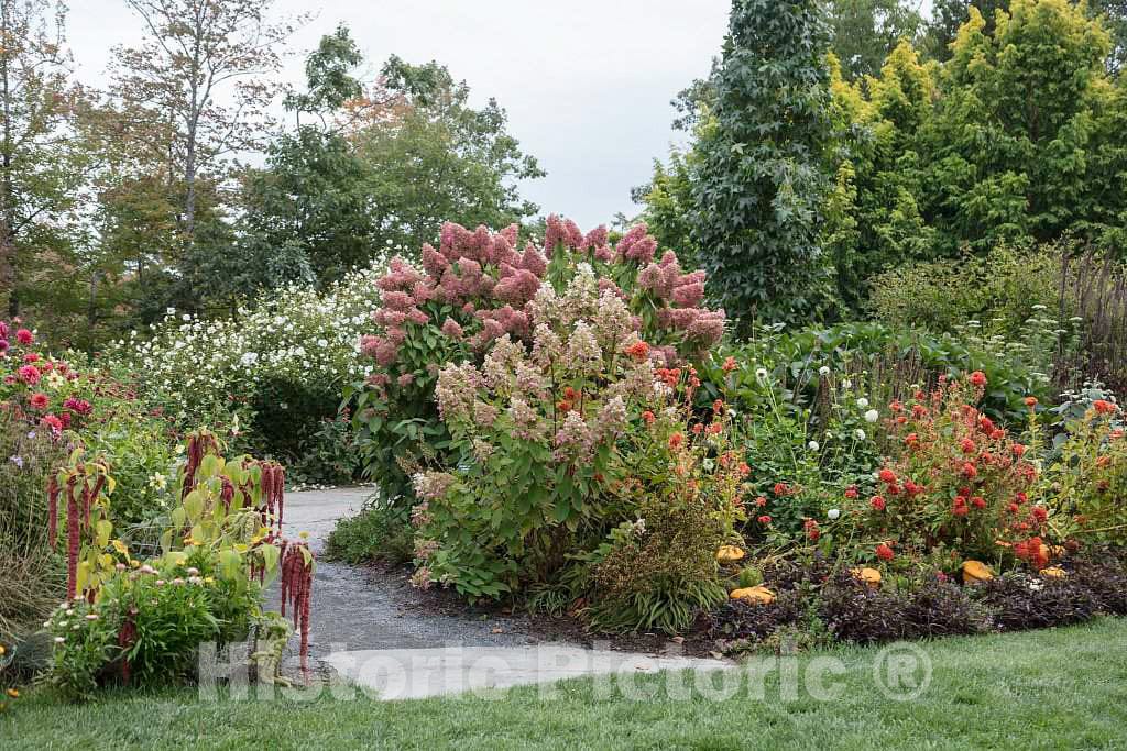 Photo- Scene at The Coastal Maine Botanical Gardens in Boothbay, Maine, a 270-acre Garden on More Than a Mile of Boothbay Harbor Waterfront 19 Fine Art Photo Reproduction