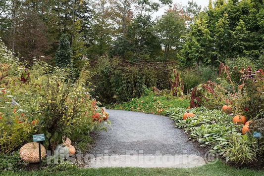 Photo- Scene at the Coastal Maine Botanical Gardens in Boothbay, Maine, a 270-acre garden on more than a mile of Boothbay Harbor waterfront 20 Fine Art Photo Reproduction