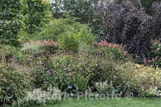 Photo- Scene at The Coastal Maine Botanical Gardens in Boothbay, Maine, a 270-acre Garden on More Than a Mile of Boothbay Harbor Waterfront 1 Fine Art Photo Reproduction