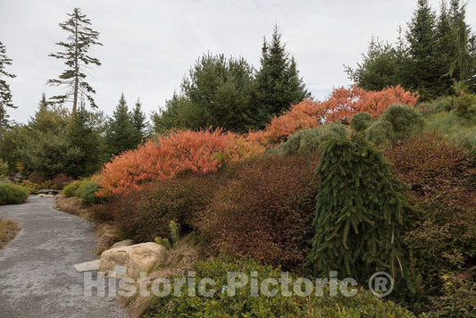 Photo- Scene at The Coastal Maine Botanical Gardens in Boothbay, Maine, a 270-acre Garden on More Than a Mile of Boothbay Harbor Waterfront 2 Fine Art Photo Reproduction