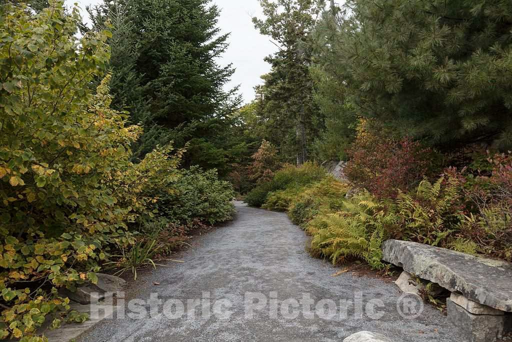 Photo- Scene at The Coastal Maine Botanical Gardens in Boothbay, Maine, a 270-acre Garden on More Than a Mile of Boothbay Harbor Waterfront 3 Fine Art Photo Reproduction