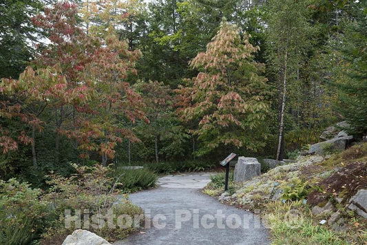 Photo- Scene at The Coastal Maine Botanical Gardens in Boothbay, Maine, a 270-acre Garden on More Than a Mile of Boothbay Harbor Waterfront 4 Fine Art Photo Reproduction