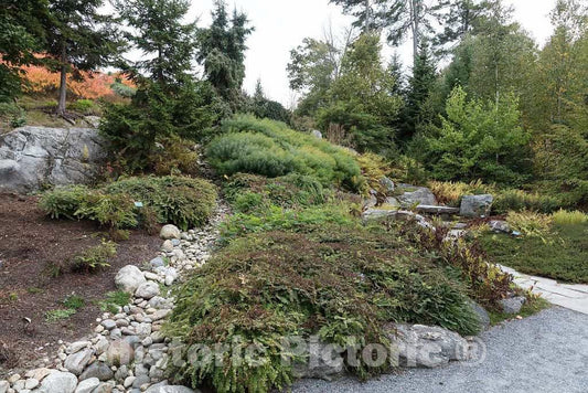 Photo- Scene at The Coastal Maine Botanical Gardens in Boothbay, Maine, a 270-acre Garden on More Than a Mile of Boothbay Harbor Waterfront 6 Fine Art Photo Reproduction