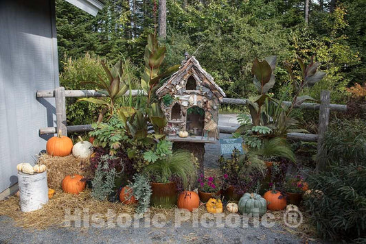 Photo- Fall Display at The Coastal Maine Botanical Gardens in Boothbay, Maine, a 270-acre Garden on More Than a Mile of Boothbay Harbor Waterfront 1 Fine Art Photo Reproduction