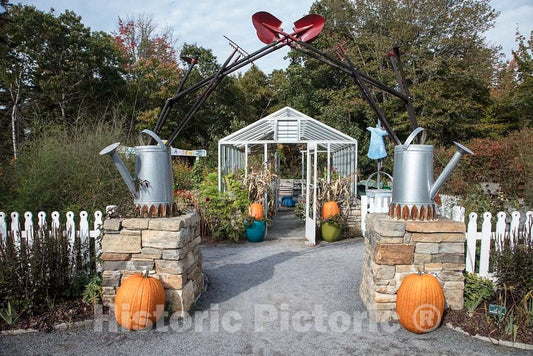 Photo- Fall Display at The Coastal Maine Botanical Gardens in Boothbay, Maine, a 270-acre Garden on More Than a Mile of Boothbay Harbor Waterfront 3 Fine Art Photo Reproduction