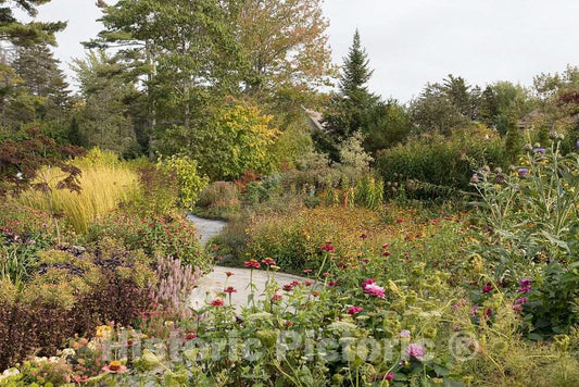 Photo- Scene at The Coastal Maine Botanical Gardens in Boothbay, Maine, a 270-acre Garden on More Than a Mile of Boothbay Harbor Waterfront 11 Fine Art Photo Reproduction