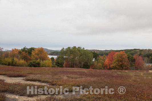 Photo - Spent Blueberry Field After The Picking Season Near Union, Maine- Fine Art Photo Reporduction