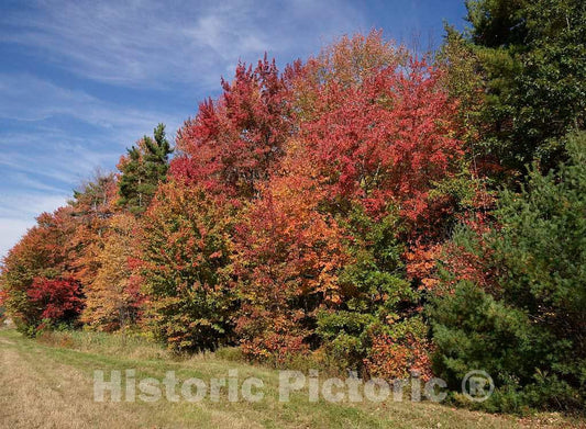 Photo - Array of fall colors near Raymond, New Hampshire- Fine Art Photo Reporduction