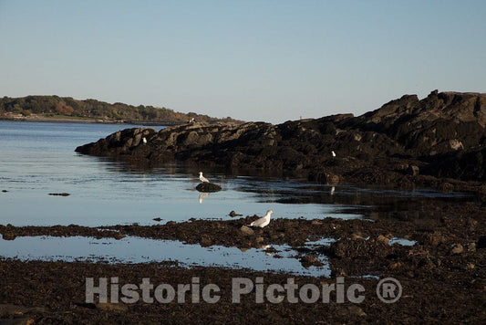 Photo - Low Tide in a Cove of The Piscataqua River, Off New Castle, New Hampshire- Fine Art Photo Reporduction