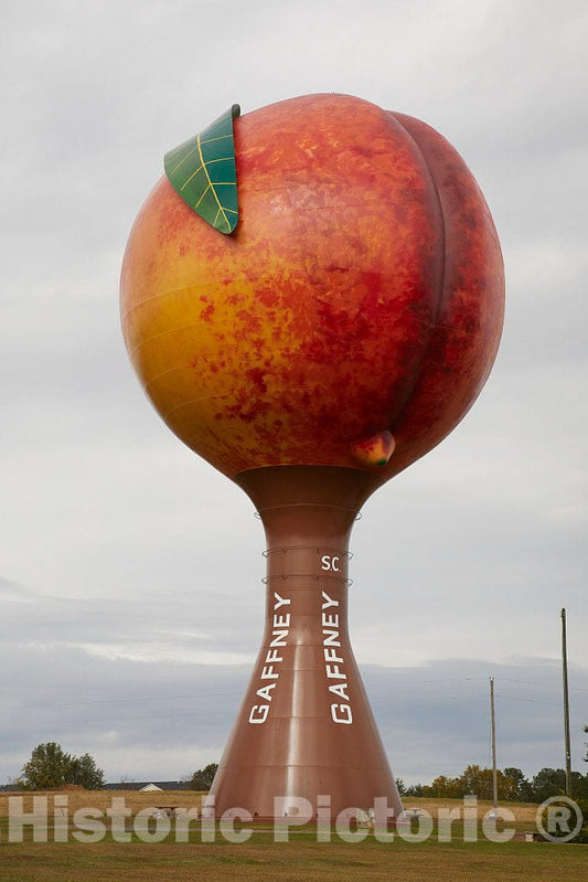 Photo - Many U.S. communities advertise their special qualities via artwork on tall water towers- Fine Art Photo Reporduction