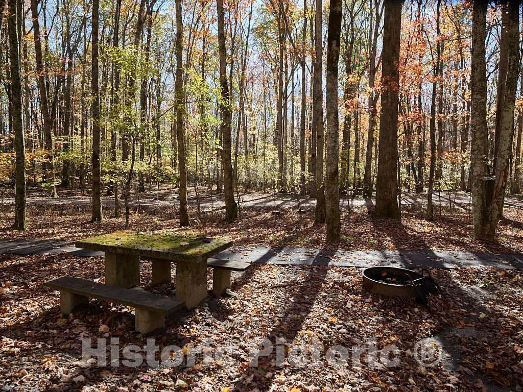 Photo - Moss-Covered Stone Picnic Tables at a Campsite Along The Southern reaches of The Blue Ridge Parkway, Near Foscoe, North Carolina- Fine Art Photo Reporduction