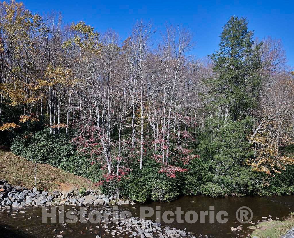 Photo - View of Green Mountain Creek Along The Southern reaches of The Blue Ridge Parkway, Near Globe, North Carolina- Fine Art Photo Reporduction