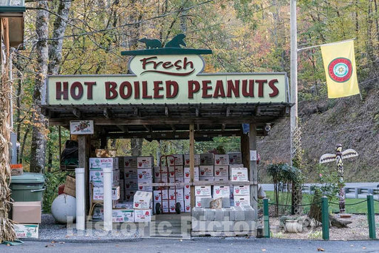 Photo - Sign Advertising a Local Delicacy,hot, Boiled Peanuts,at Bearmeat's Indian Den Craft and Gift Shop in The Town of Cherokee- Fine Art Photo Reporduction